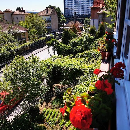 Apartament Hunter Apartment Cluj-Napoca Exterior photo