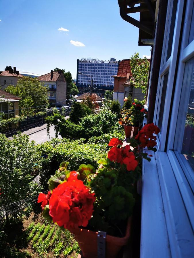 Apartament Hunter Apartment Cluj-Napoca Exterior photo
