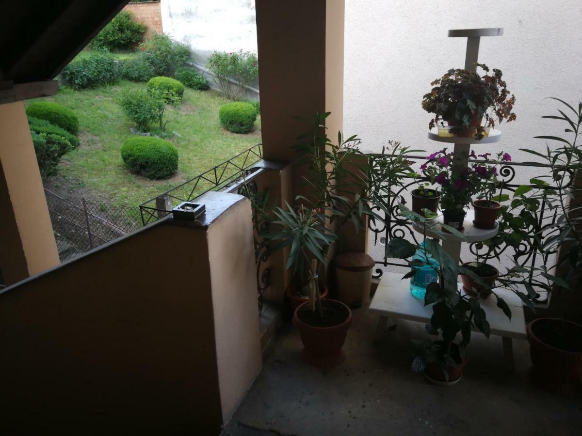 Apartament Hunter Apartment Cluj-Napoca Exterior photo