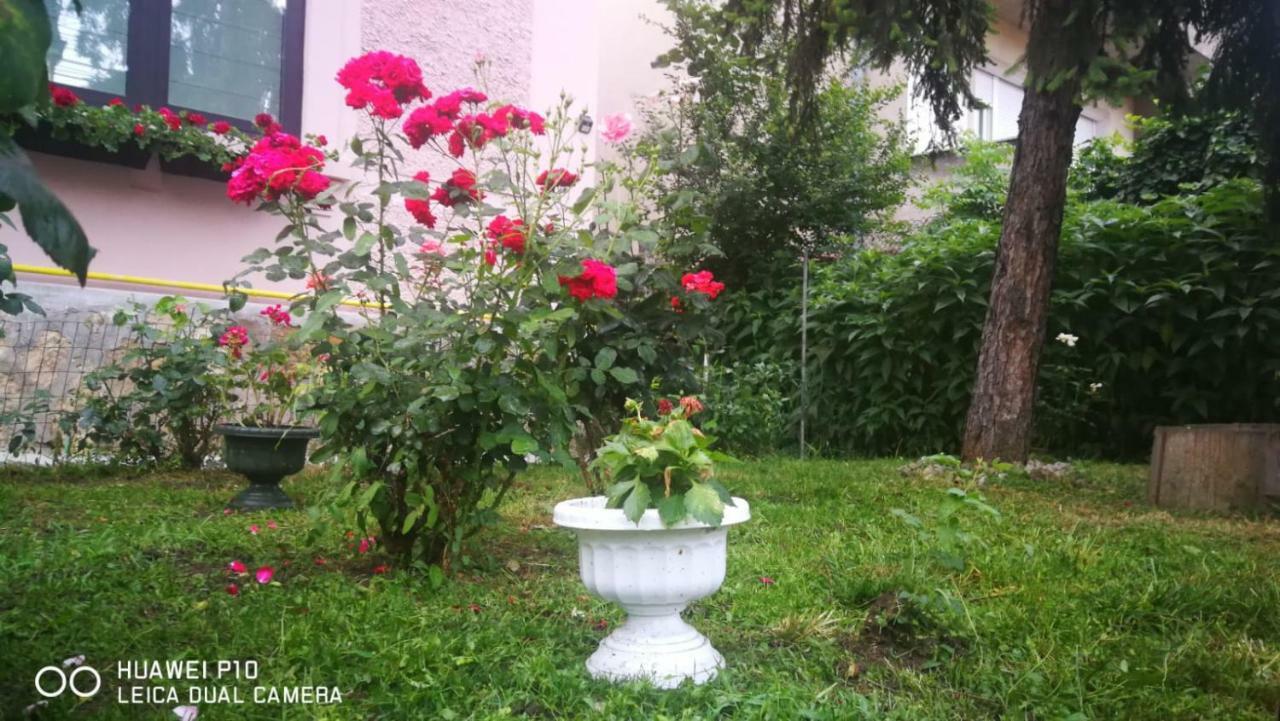 Apartament Hunter Apartment Cluj-Napoca Exterior photo